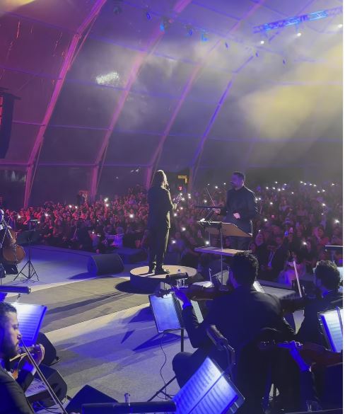 النجم وائل جسار